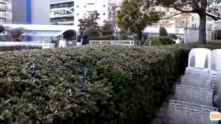 NHDTB-673,NHDTB-673 生中痴●集団4